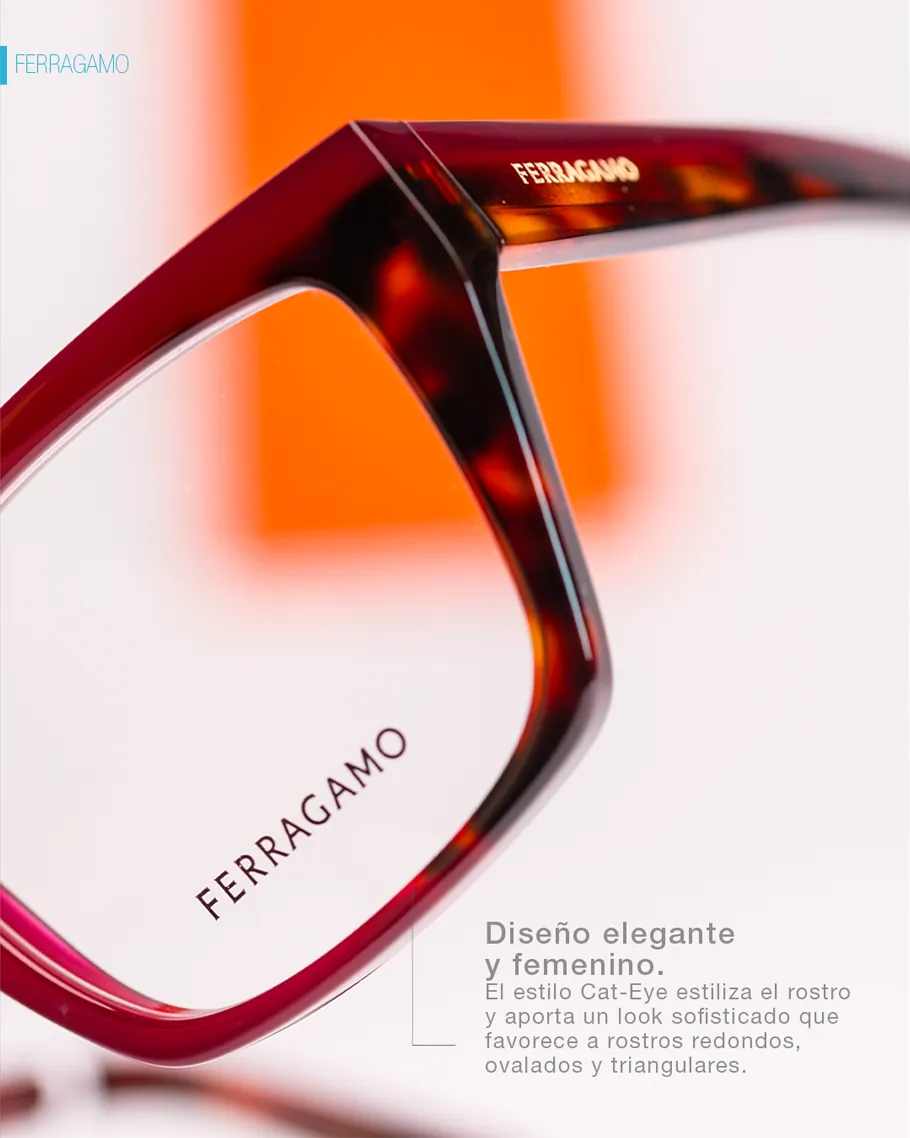 Salvatore Ferragamo 3010