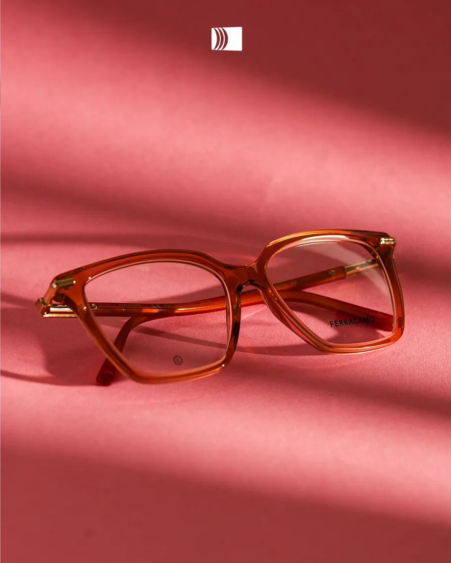 Salvatore Ferragamo 3013
